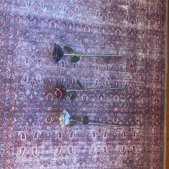 Roses🌹🥀💐 - Picture 4 of 11